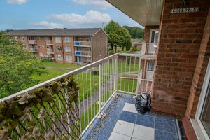 Padnell Avenue